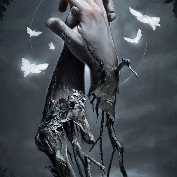 Meet your Posher, Raymond - Picture 1 of 1